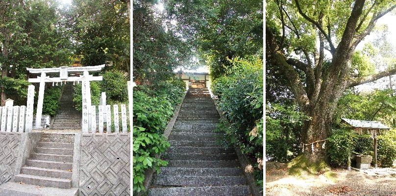 富田林・河内長野市神社探訪（2013.05.18）④佐備神社・・・_a0016431_1665277.jpg