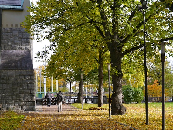 b0198131_920197.jpg
