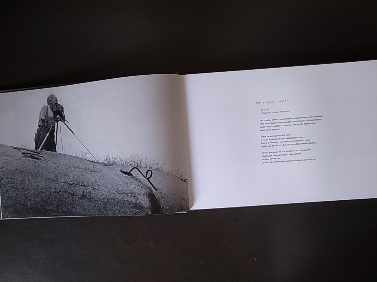 Josef Sudek: Smutna Krajina (Sad Landscape) Northwest