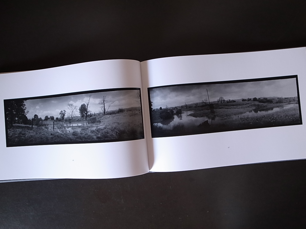 Josef Sudek, Smutna krajina, Sad Landscape , Traurige - 芸術写真
