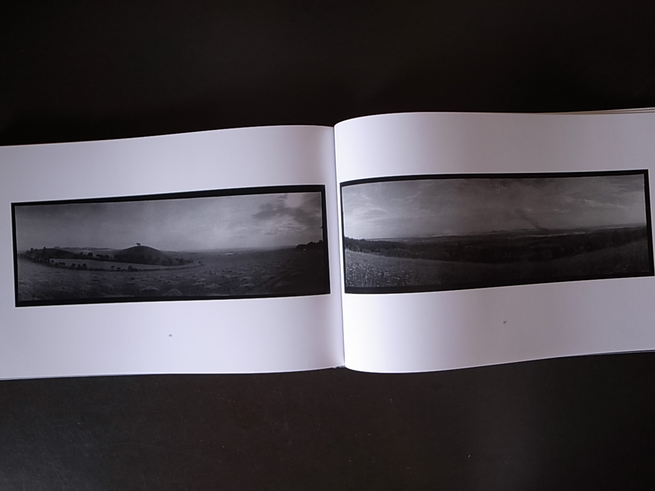 SMUTNA KRAJINA SAD LANDSCAPE / Josef Sudek : Books & Things