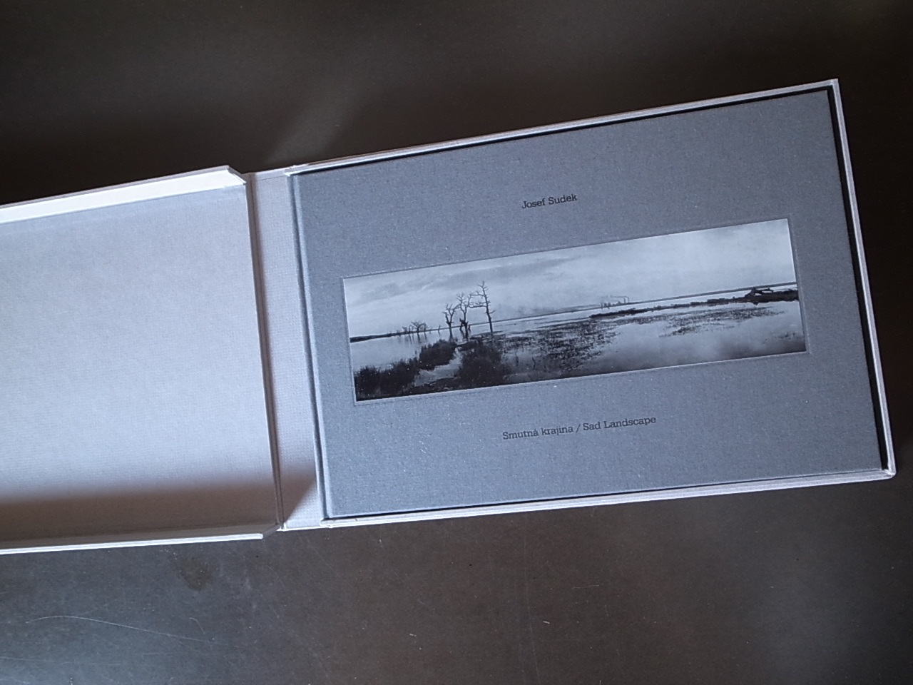 Josef Sudek: Smutná krajina / Sad Landscape | Knihkupectví a