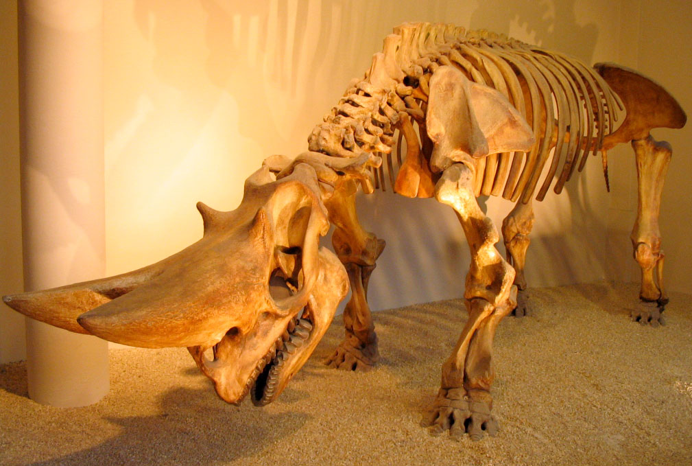 e0287838_1021986.jpg
