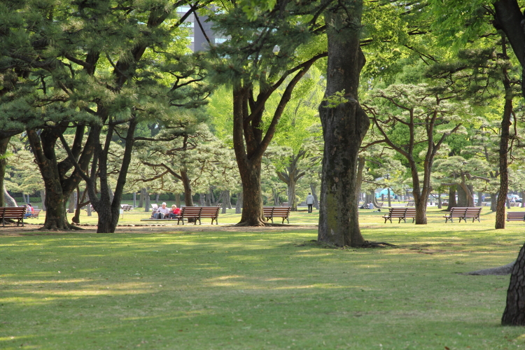 c0199146_045745.jpg