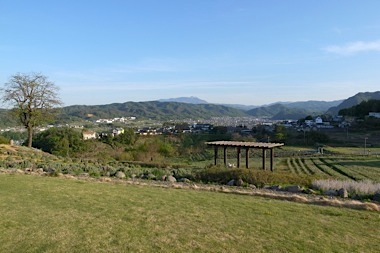 b0025850_09815.jpg