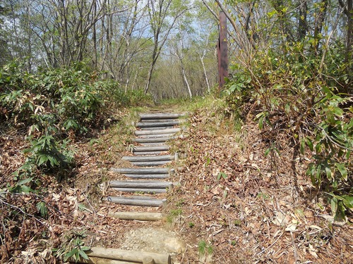 f0186951_1803817.jpg