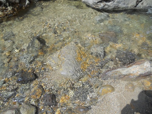 f0186951_18104712.jpg