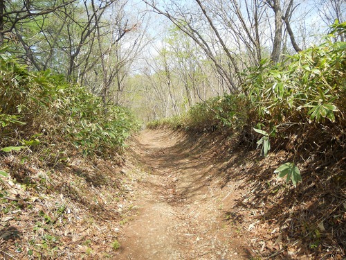 f0186951_181872.jpg