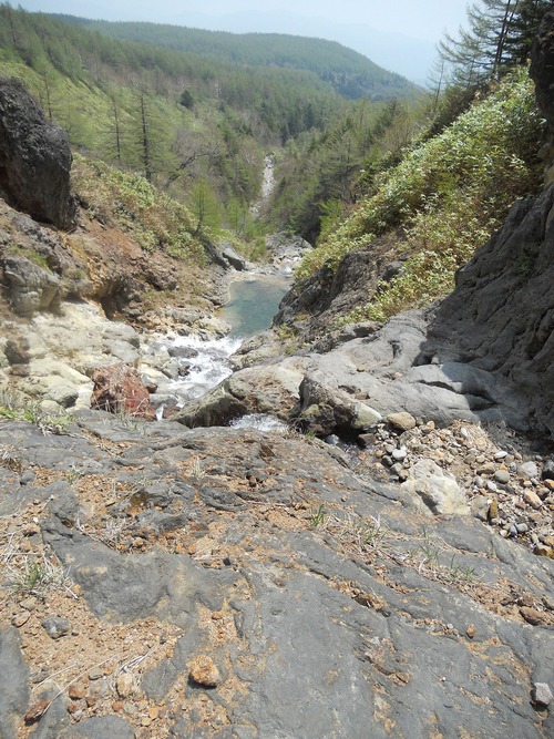 f0186951_18453782.jpg