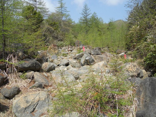 f0186951_1872157.jpg