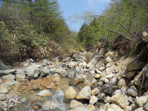 f0186951_1875922.jpg