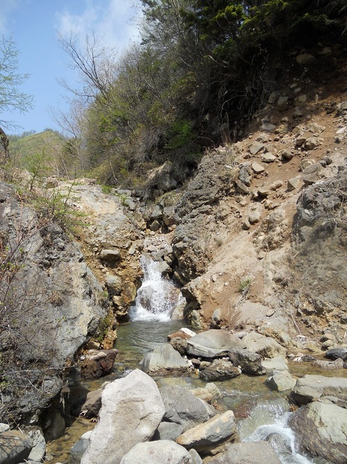 f0186951_189515.jpg