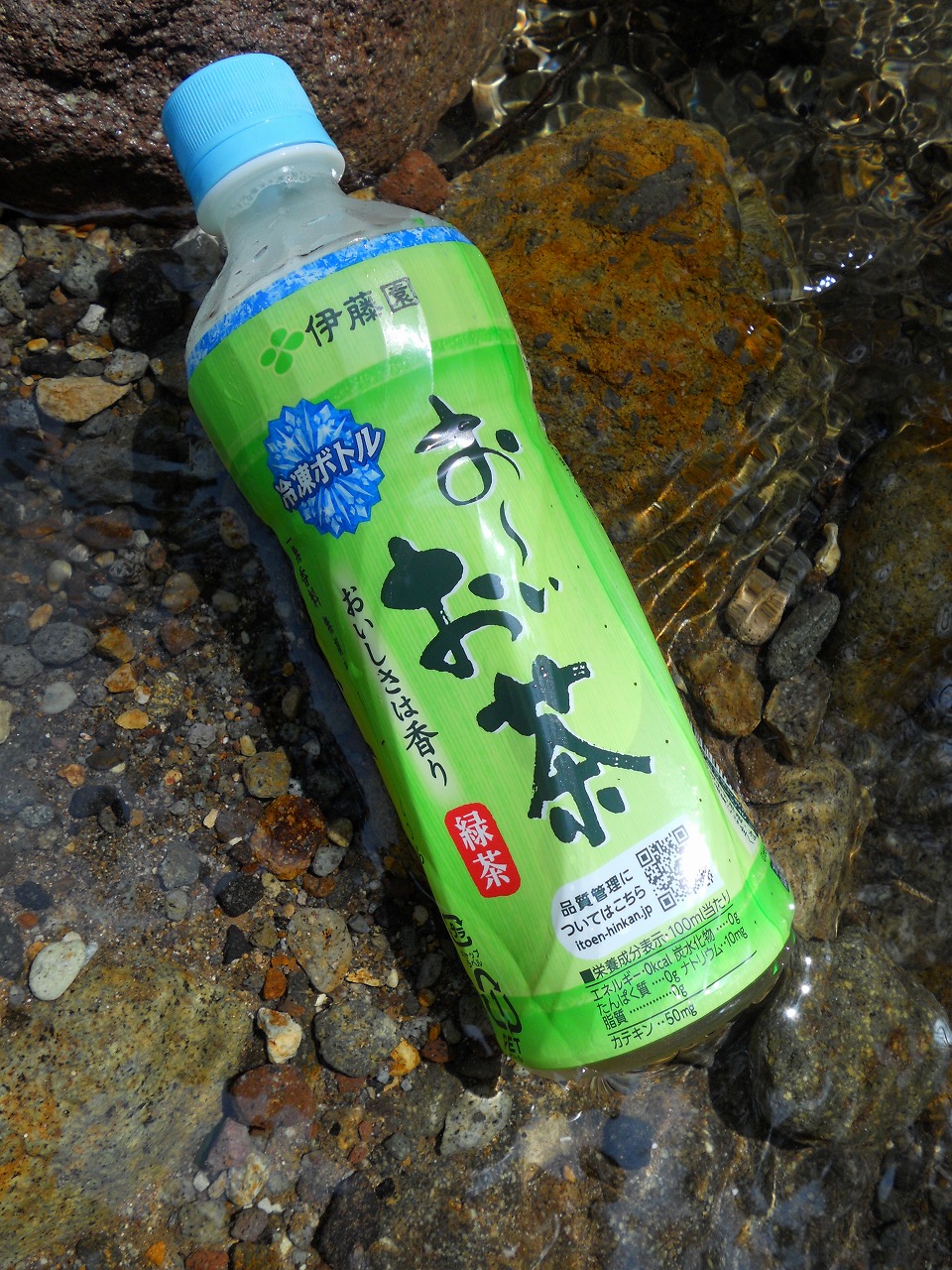 f0186951_19133036.jpg