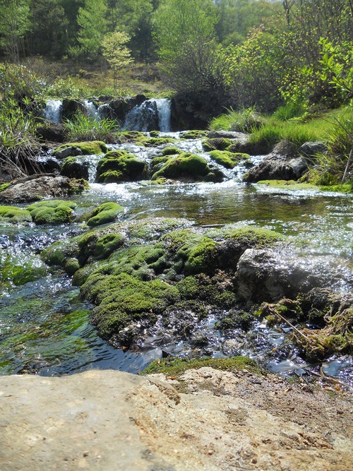 f0186951_19205250.jpg