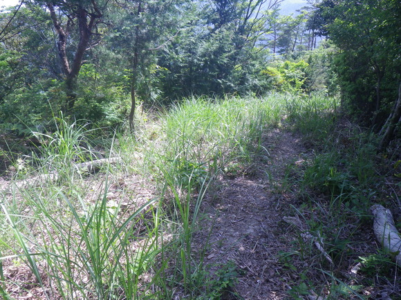 b0228959_11544825.jpg