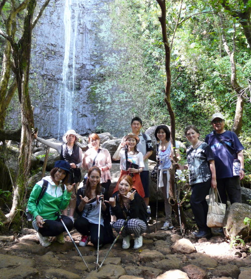 MANOA FALLS TRAIL_a0132260_16325179.jpg