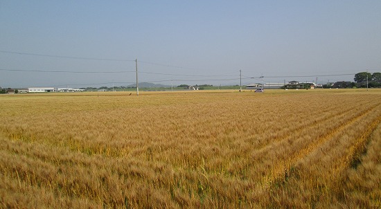 f0067067_2161889.jpg