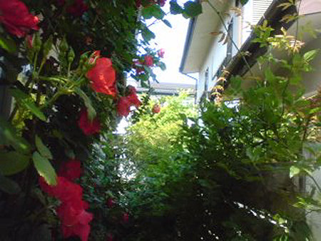 e0115872_20541196.jpg