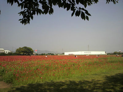 c0152779_18411531.jpg
