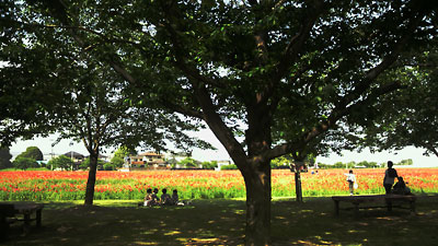 c0152779_18412872.jpg