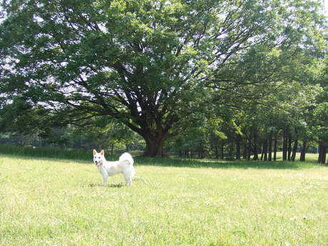 お気に入りの公園。_c0253487_23374539.jpg