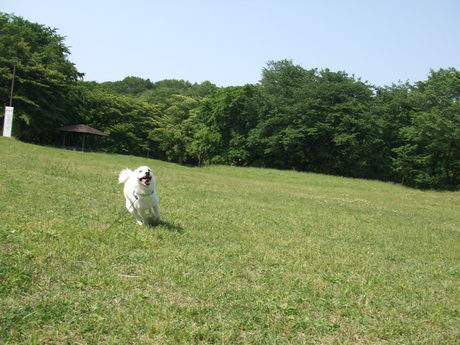 お気に入りの公園。_c0253487_2341494.jpg