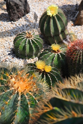 e0305388_7563157.jpg