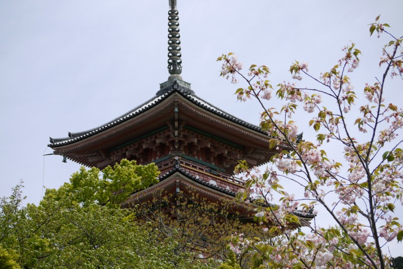 春の京都散策@清水寺 4/23_a0127090_22474898.jpg