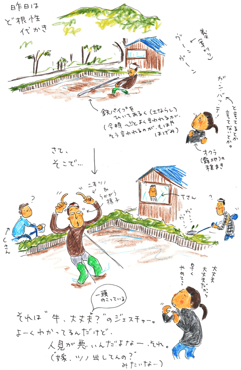 代かき→TAAさんのツノ_f0236291_5352194.gif