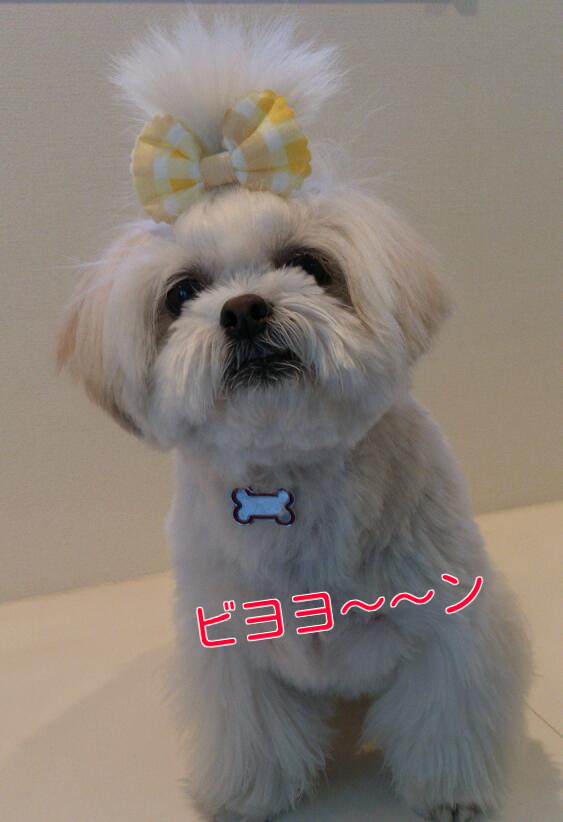 b0237894_75798.png