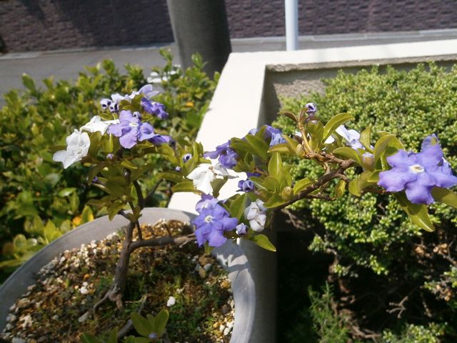 f0130894_2213349.jpg