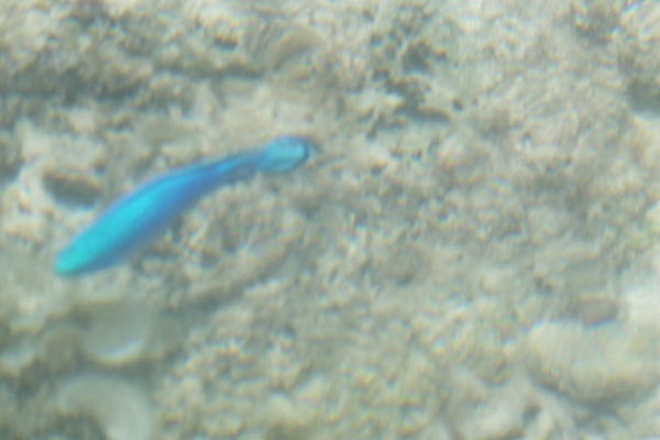 d0080998_22344128.jpg