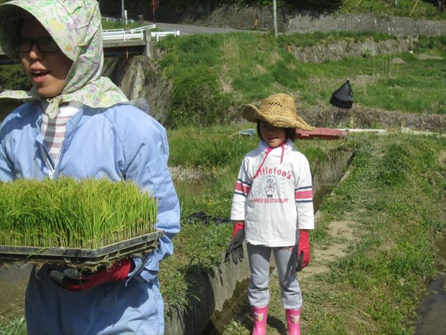 田植え_f0117498_14432494.jpg