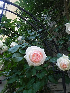 c0152002_21213680.jpg
