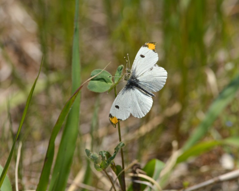 e0103903_21077.jpg