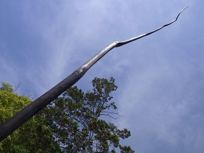 e0138807_19183370.jpg