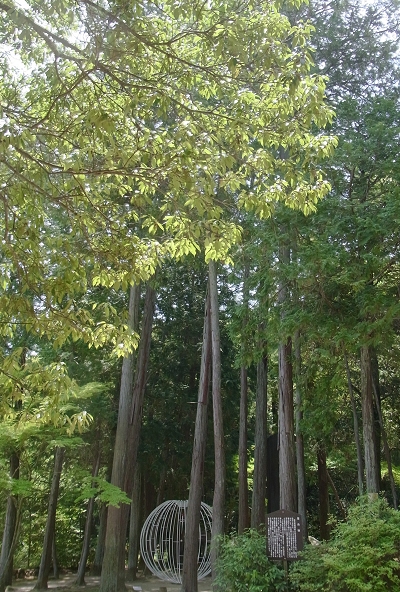 e0138807_1930373.jpg
