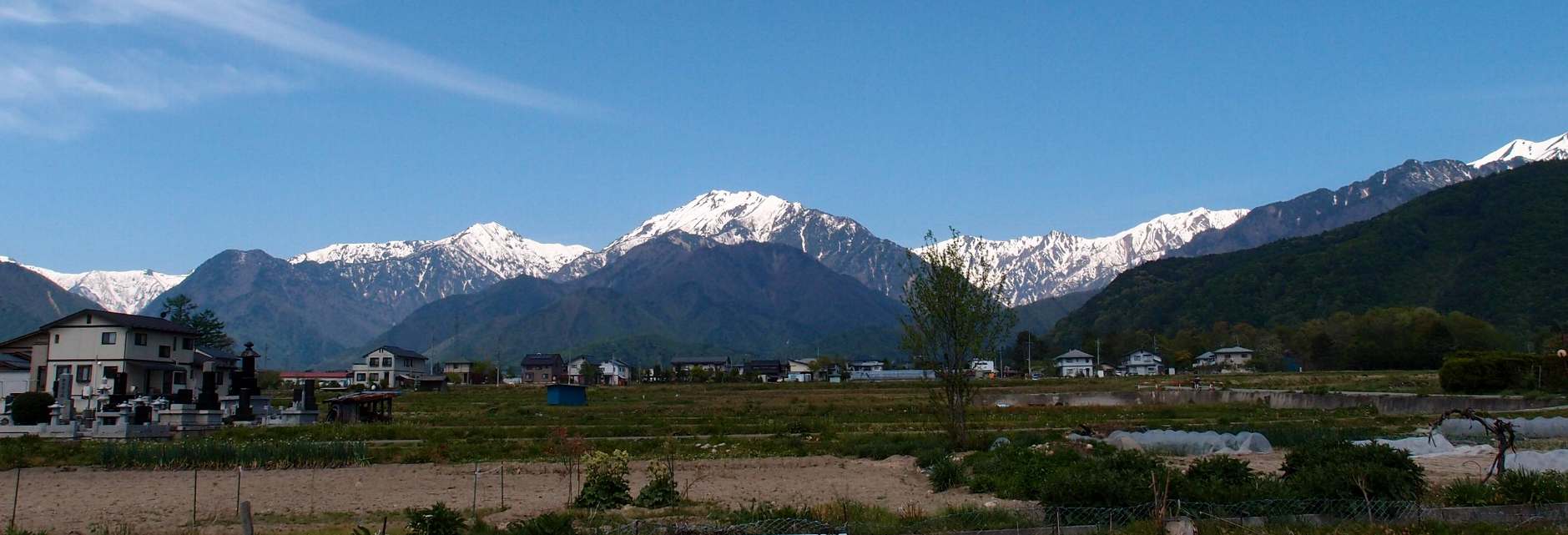 e0003910_20491642.jpg