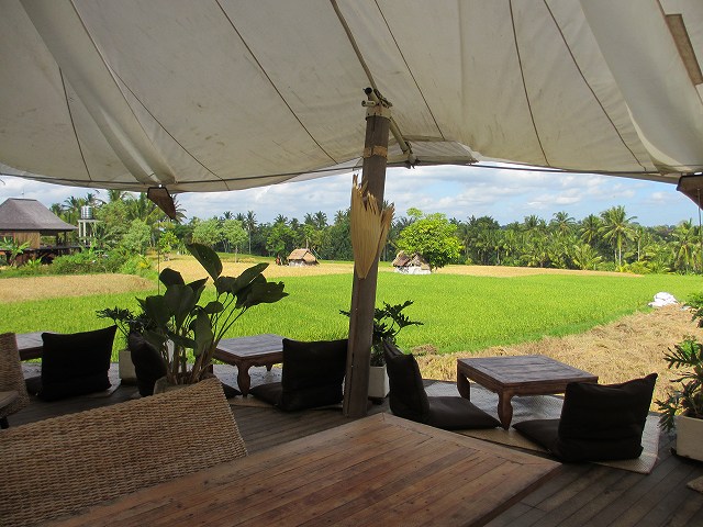 d0224712_11345889.jpg