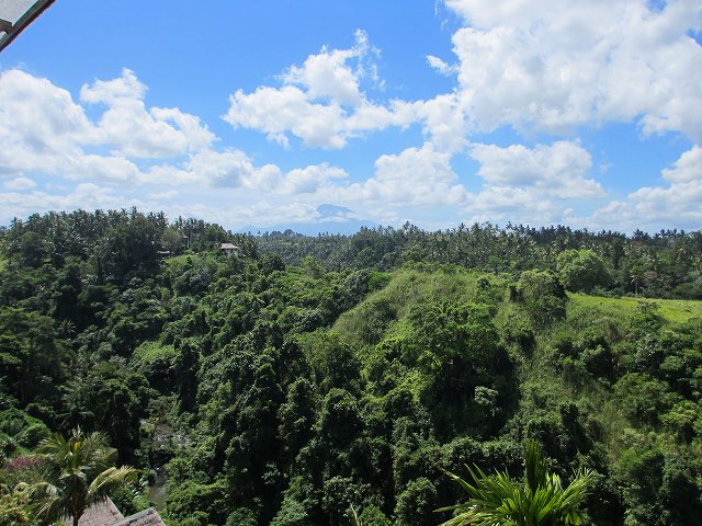 d0224712_1234329.jpg