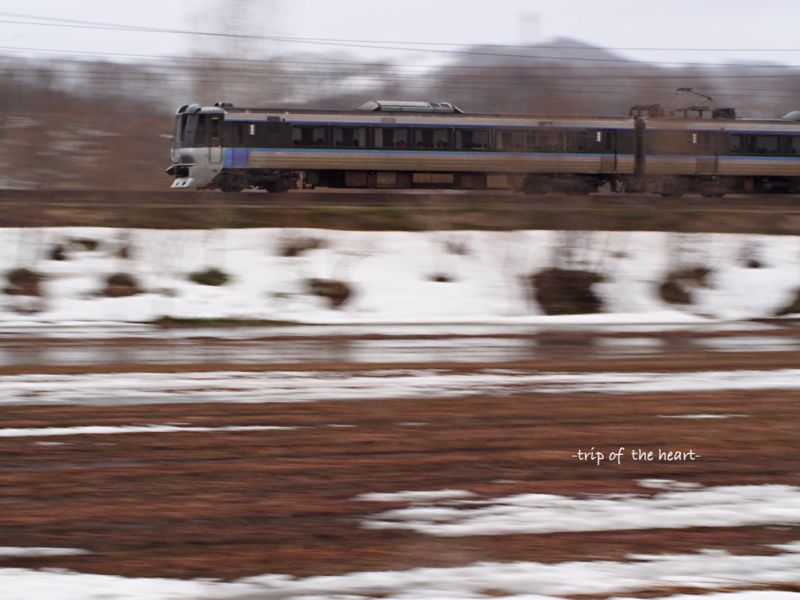 残雪残る春の日に_b0157018_9324454.jpg