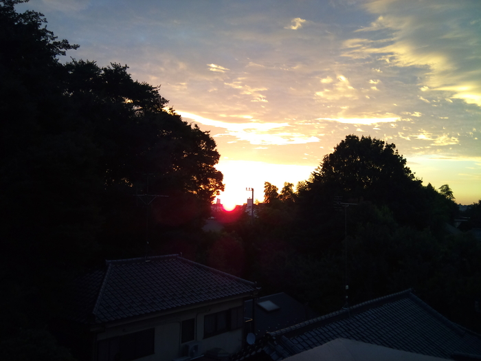 Saturday_d0179518_17184613.jpg