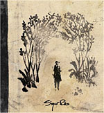 今夜はこの曲：Sigur Ros / “Hoppipolla”・・鼻血が出ることもあるけど　僕はいつだって立ち上がる。_a0282620_22502724.jpg