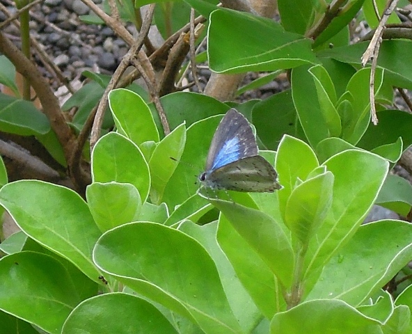 f0181821_1028385.jpg