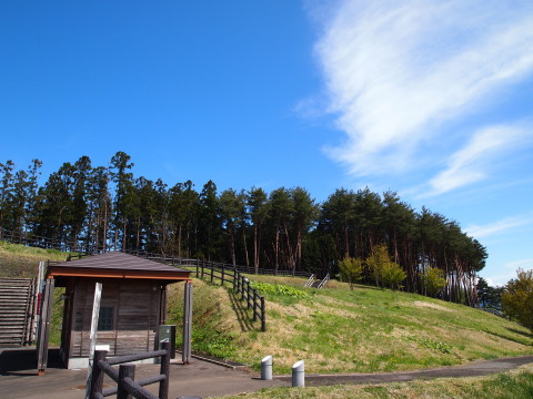 独狐の森公園(弘前市)_b0147224_21111090.jpg