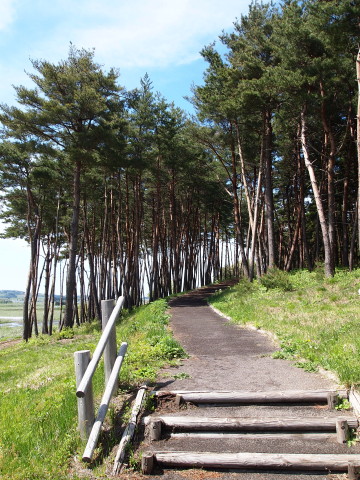独狐の森公園(弘前市)_b0147224_2195749.jpg