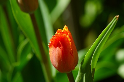 f0170524_943391.jpg