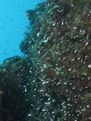 13.5.25 自然に触れる事、旬に触れる事_b0100730_2251202.jpg