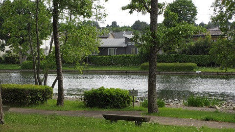 e0202031_2257496.jpg