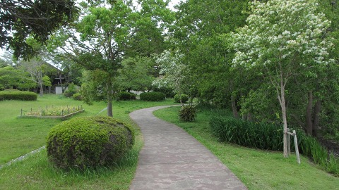 e0202031_22595100.jpg